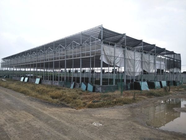 山東濟(jì)南溫室案例